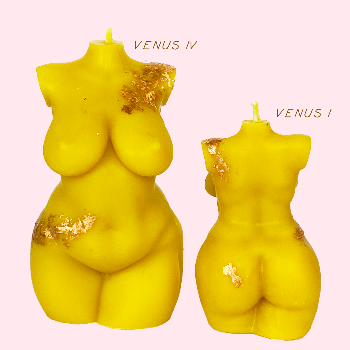 VENUS IV